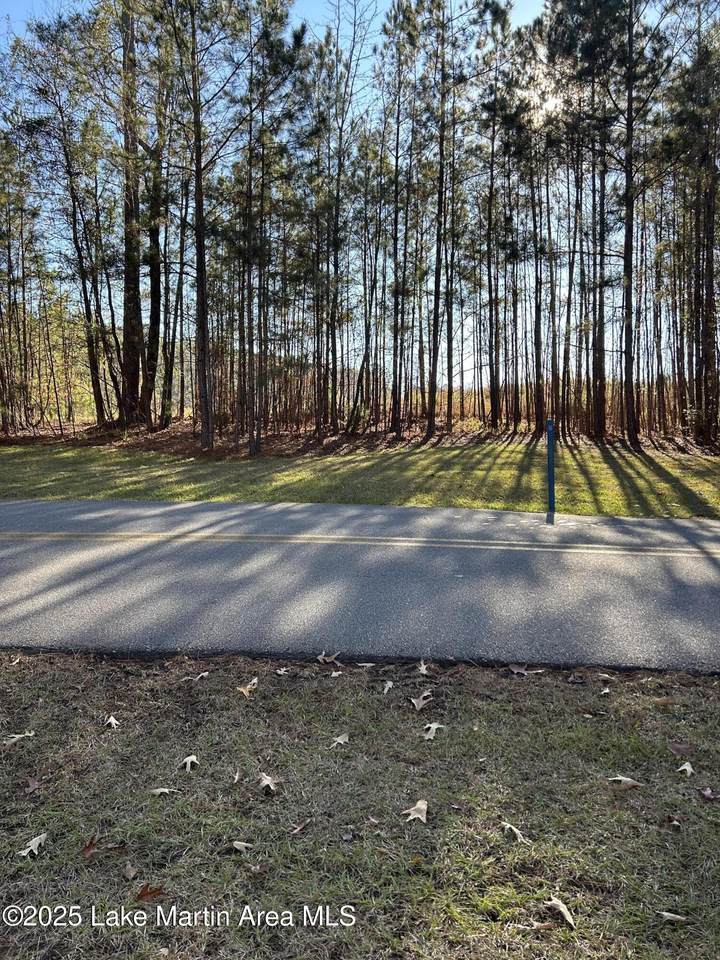 https://bt-photos.global.ssl.fastly.net/lakemartin/1280_boomver_1_25-2472-2.jpg
