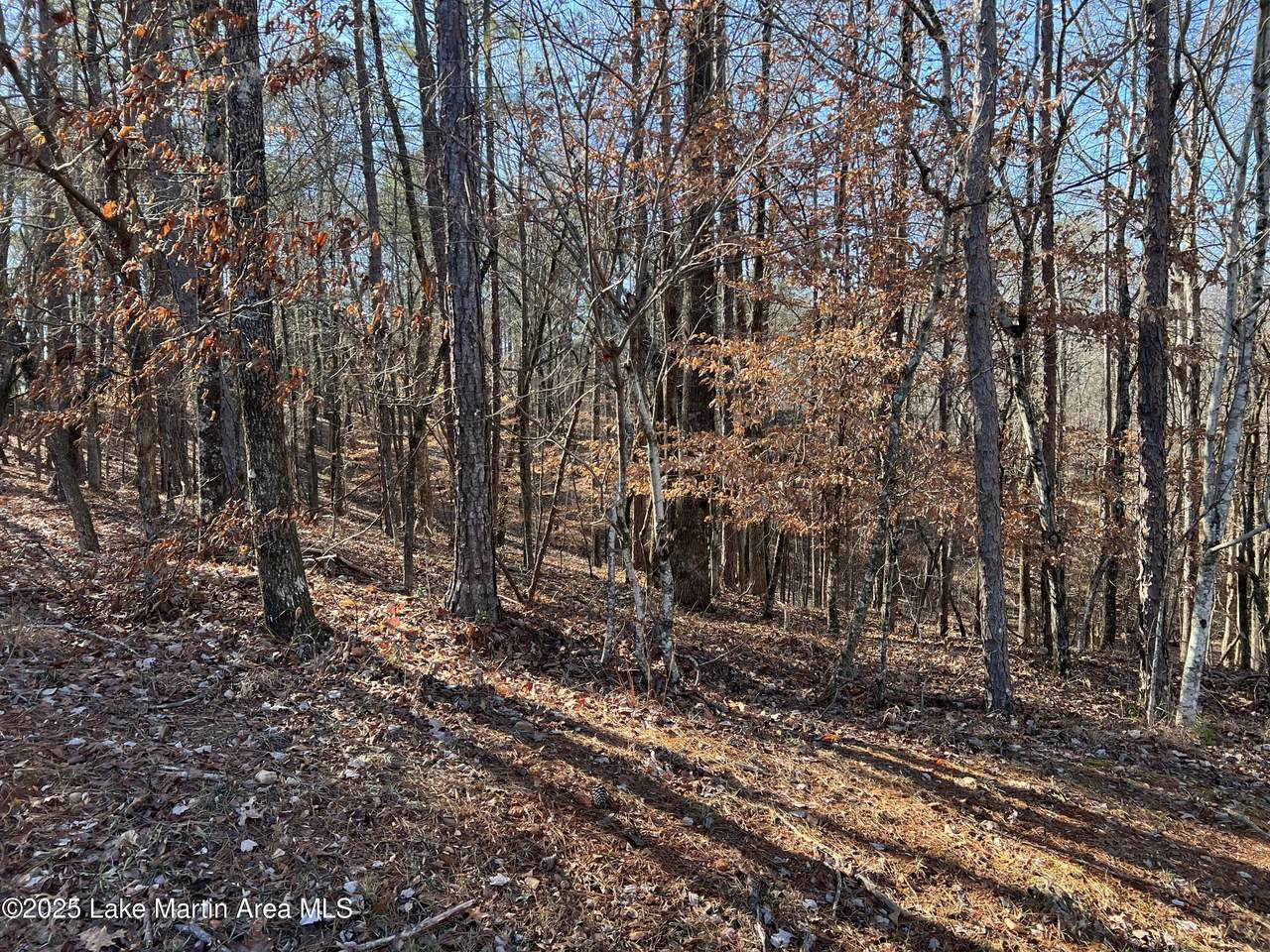 Lot 53 Doe Ln - Photo 1