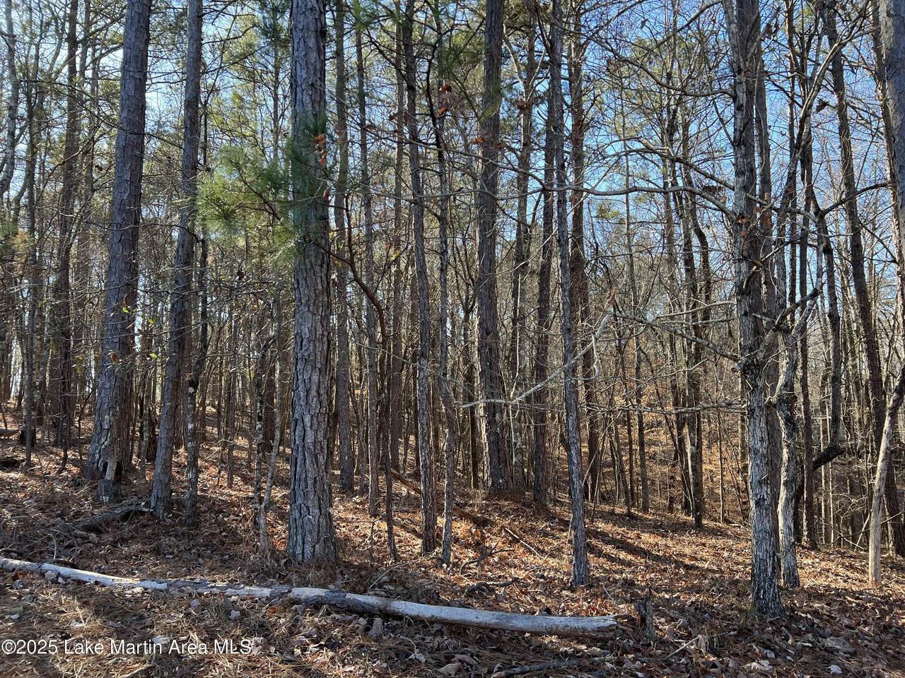https://bt-photos.global.ssl.fastly.net/lakemartin/1280_boomver_1_25-2507-2.jpg