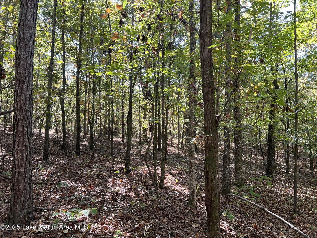 Lot 51 Long Leaf Terr - Photo 1