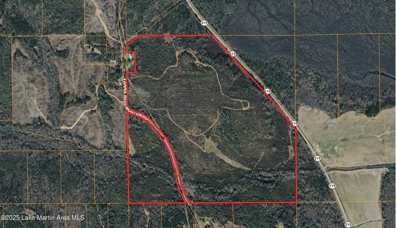 134+/-AC Fannie Bell Morton Rd - Photo 1