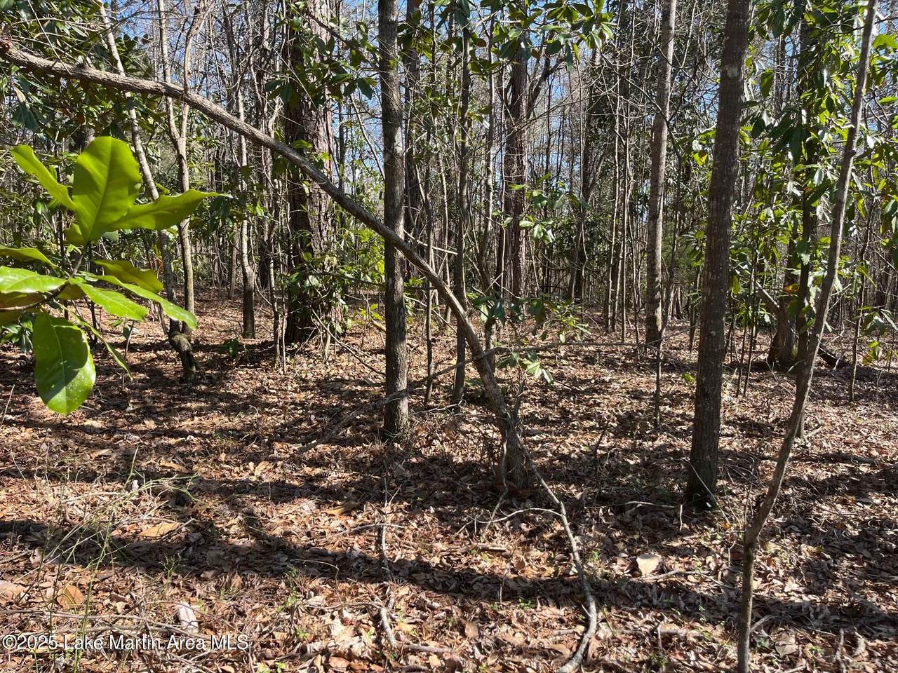 https://bt-photos.global.ssl.fastly.net/lakemartin/1280_boomver_1_25-283-2.jpg