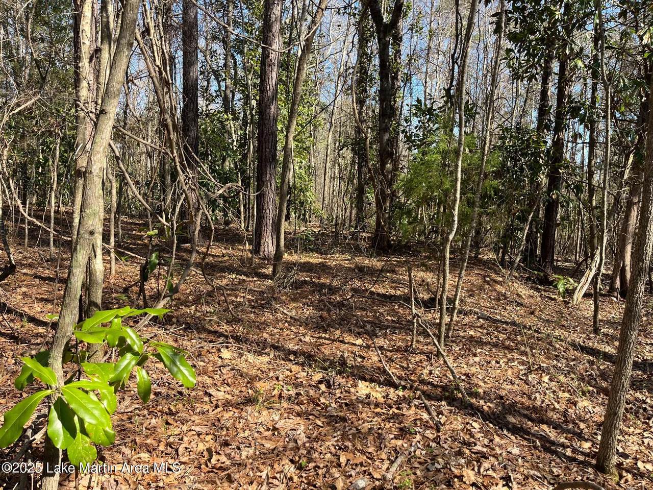 https://bt-photos.global.ssl.fastly.net/lakemartin/1280_boomver_1_25-283-2.jpg