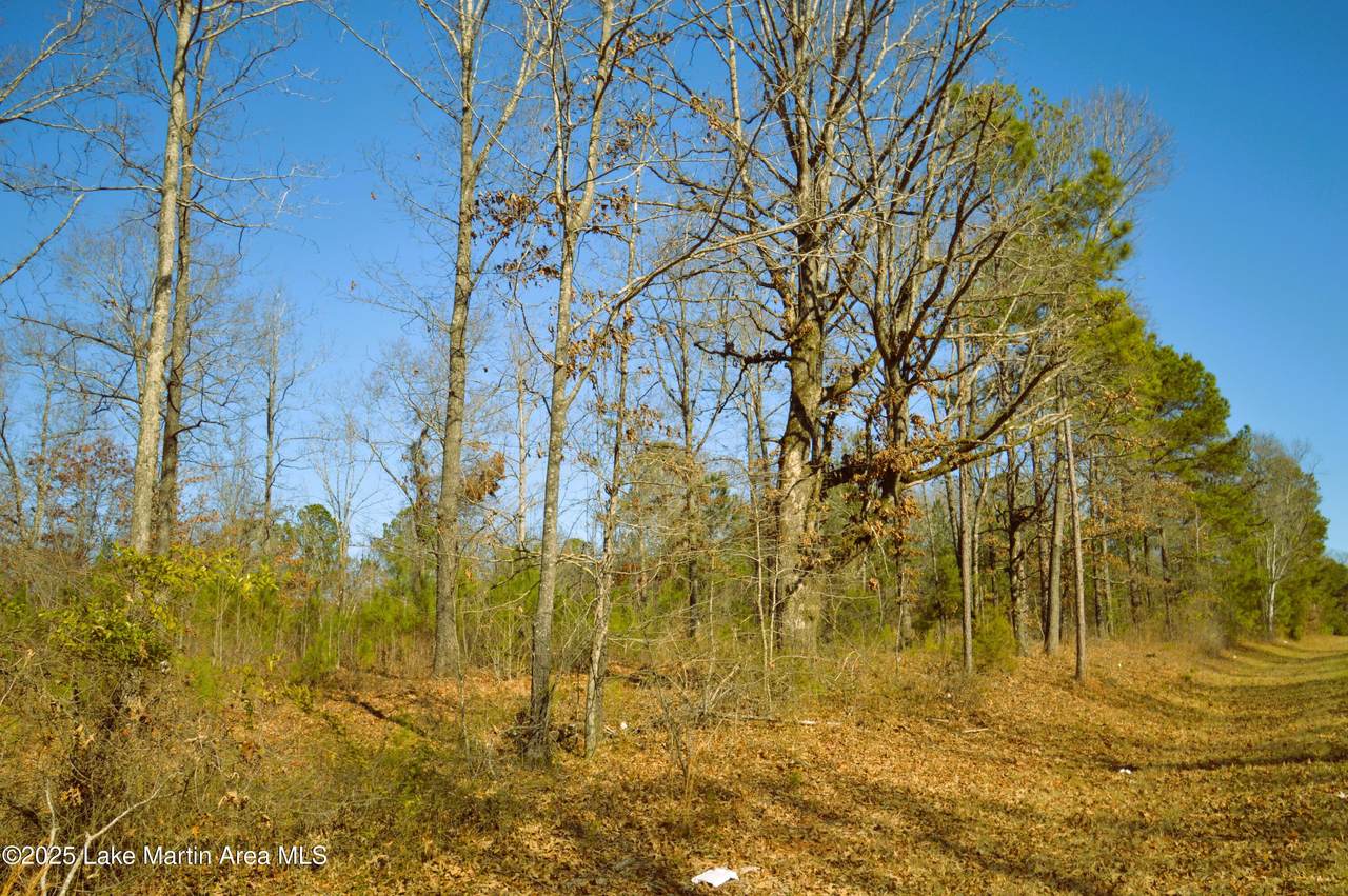 https://bt-photos.global.ssl.fastly.net/lakemartin/1280_boomver_1_25-5-2.jpg