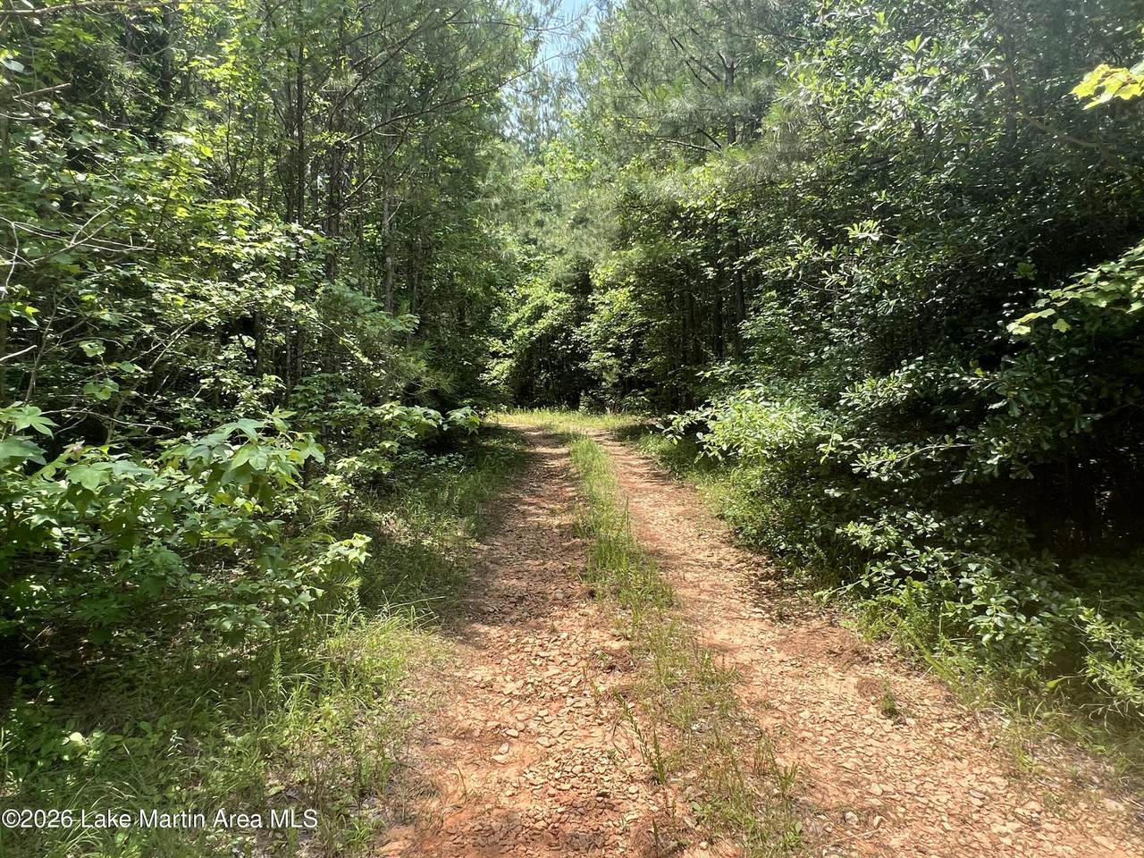 https://bt-photos.global.ssl.fastly.net/lakemartin/1280_boomver_1_26-100-2.jpg