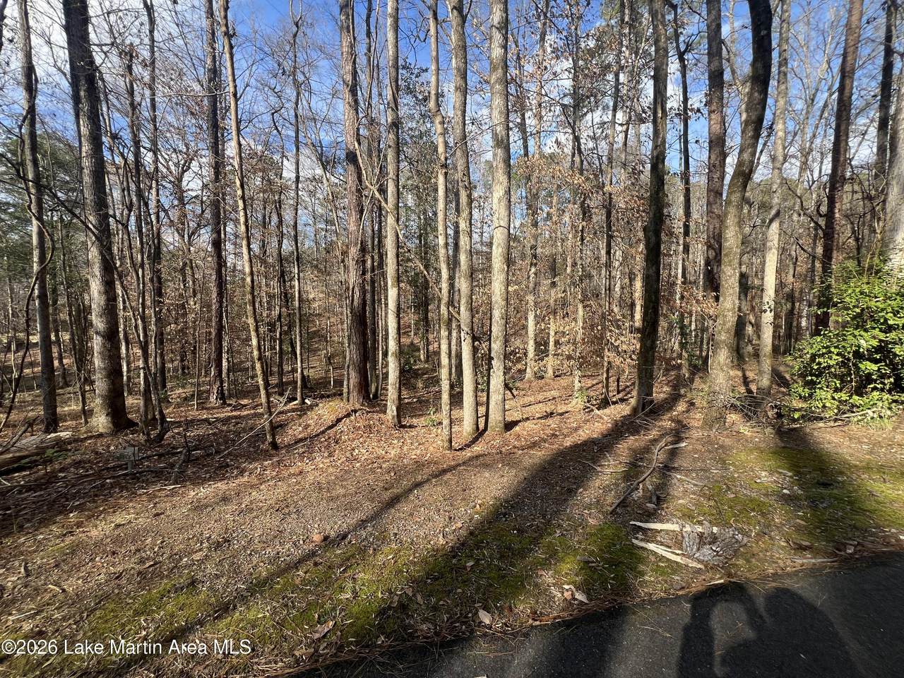 Lot 32 Turkey Trot - Photo 1