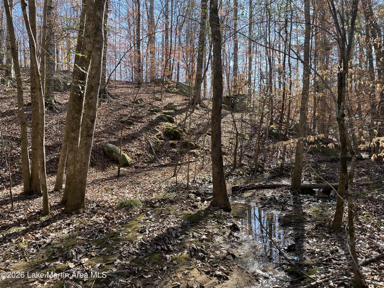  +/-12 Acres Greenwood Rd - Photo 1