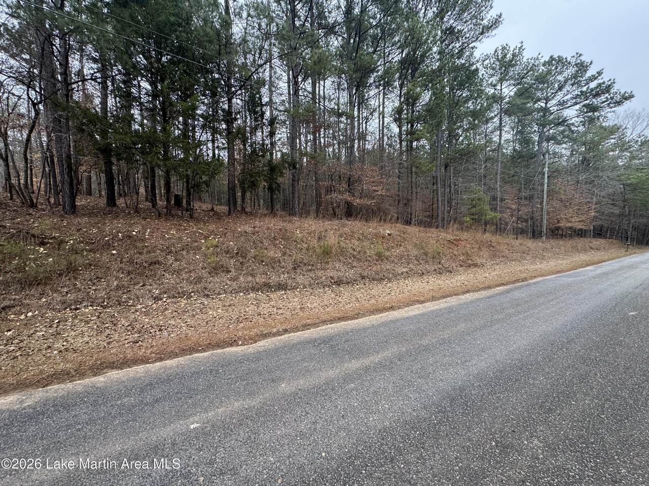  +/-0.50 Acres Red Barn Rd - Photo 1