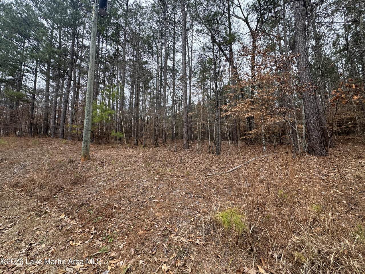 https://bt-photos.global.ssl.fastly.net/lakemartin/1280_boomver_1_26-227-2.jpg