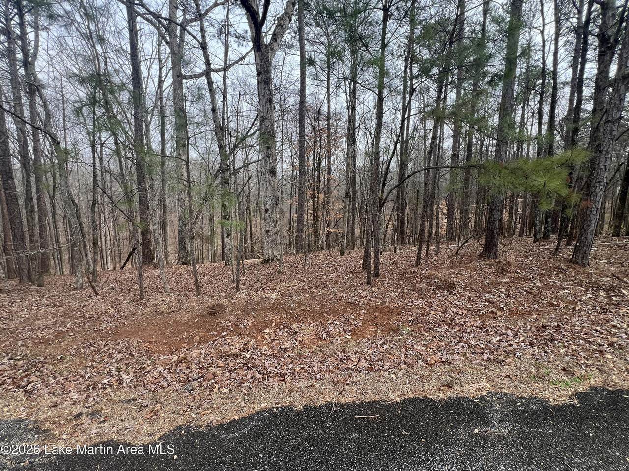 Lot 34 Deer Hollow Trl - Photo 1