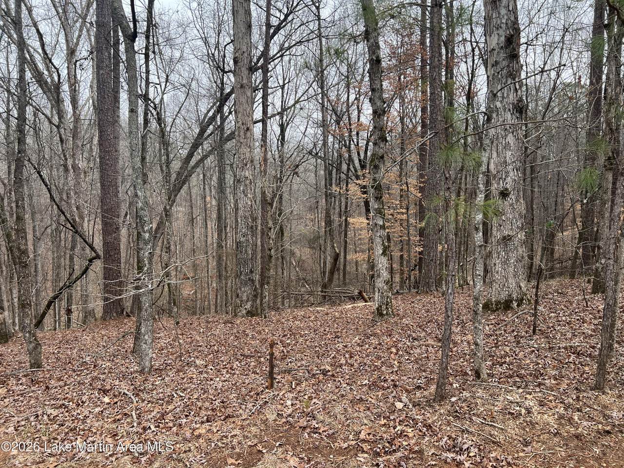 https://bt-photos.global.ssl.fastly.net/lakemartin/1280_boomver_1_26-266-2.jpg