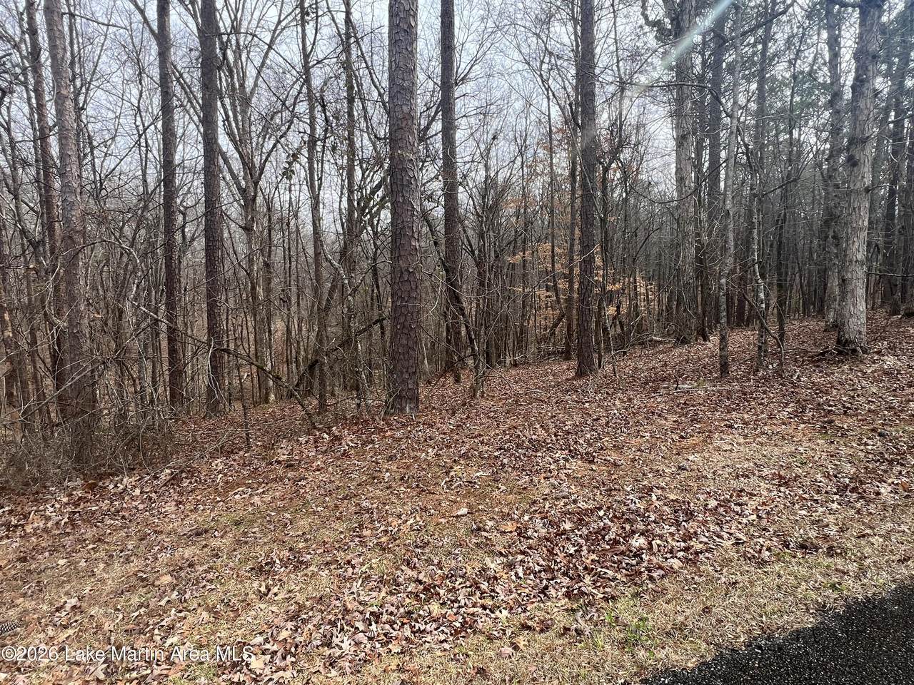 https://bt-photos.global.ssl.fastly.net/lakemartin/1280_boomver_1_26-266-2.jpg