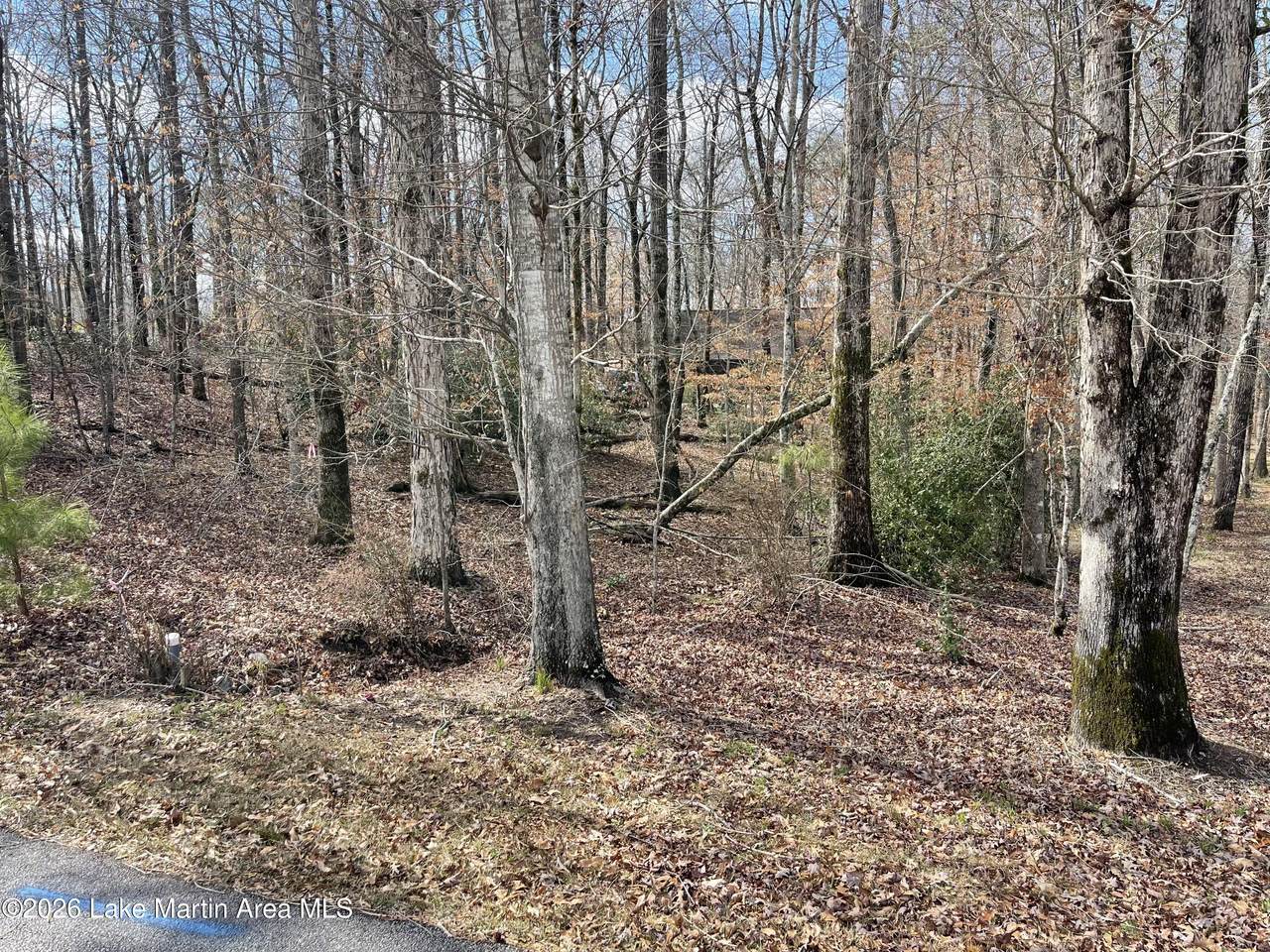 Lot 12 Knollwood - Photo 1