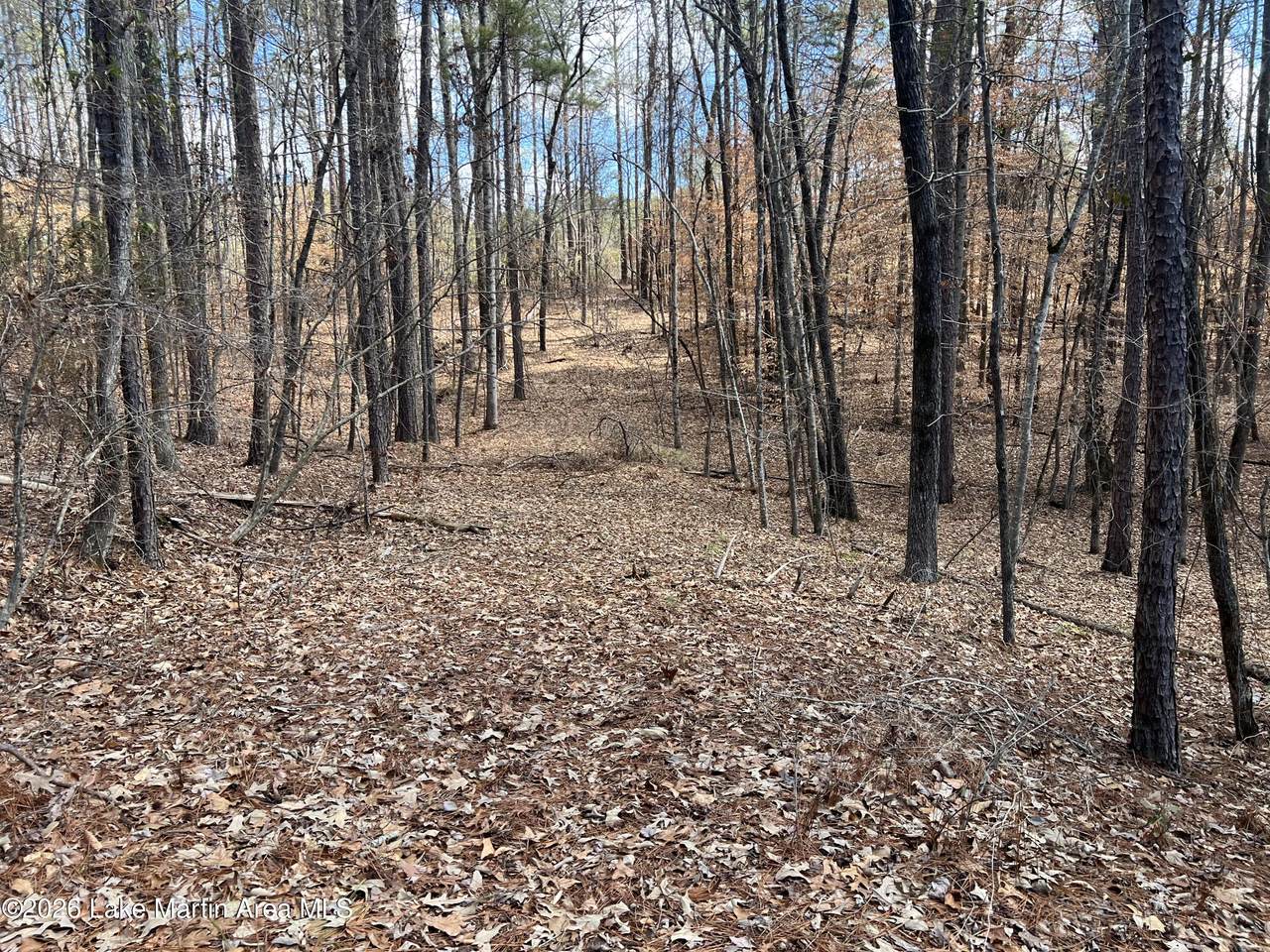 https://bt-photos.global.ssl.fastly.net/lakemartin/1280_boomver_1_26-271-2.jpg