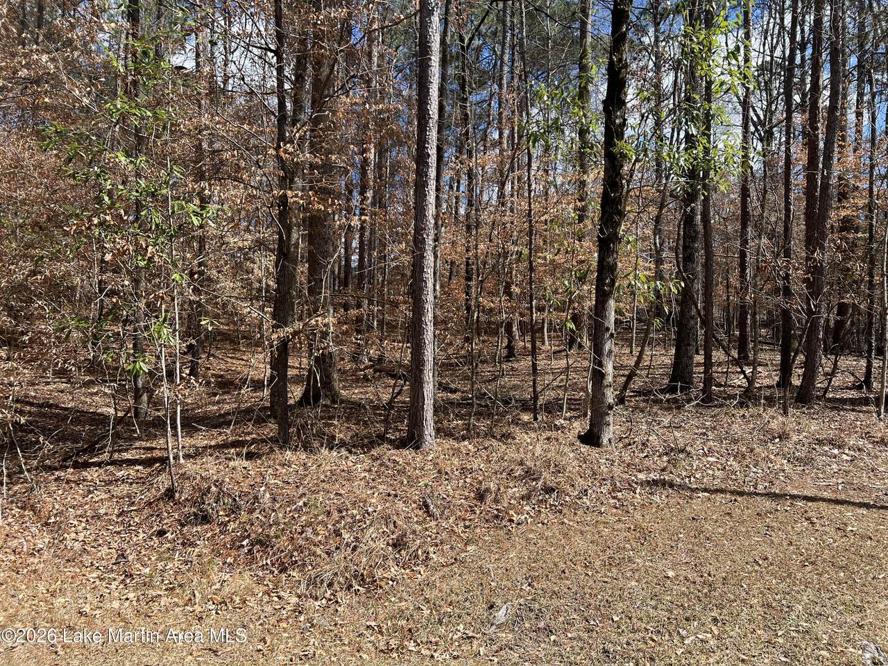 https://bt-photos.global.ssl.fastly.net/lakemartin/orig_boomver_1_26-274-2.jpg