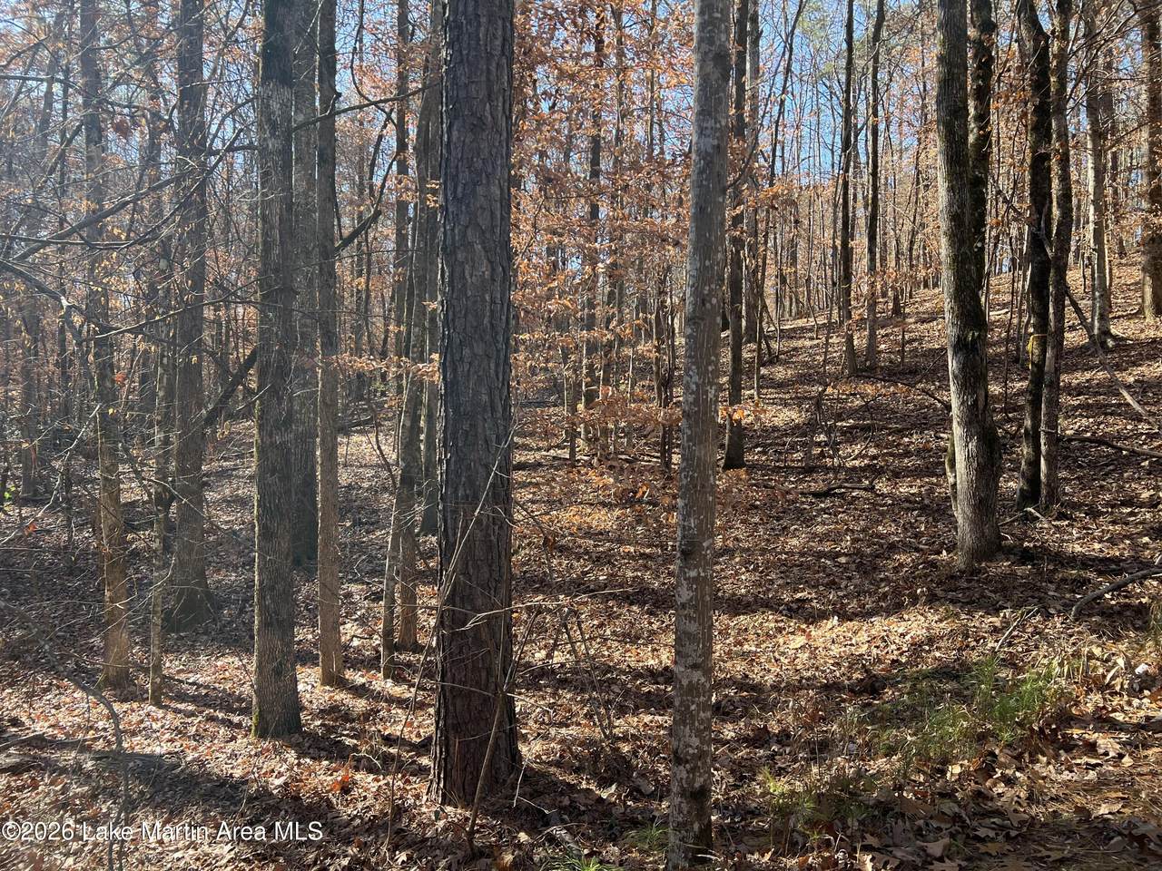 Lot 16 Fern Brook Dr - Photo 1