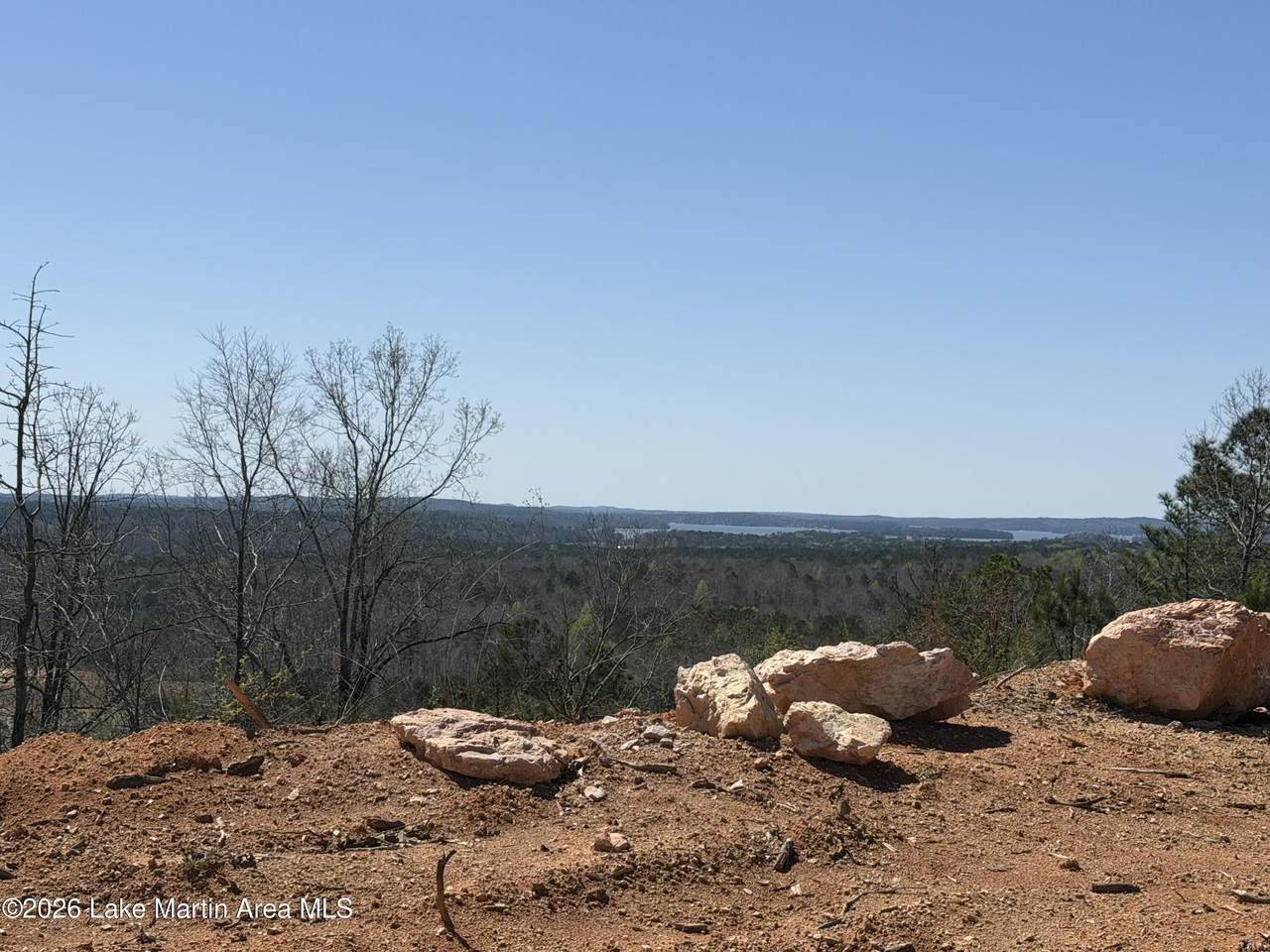  22 +/- Acres Jacksons Gap Way - Photo 1