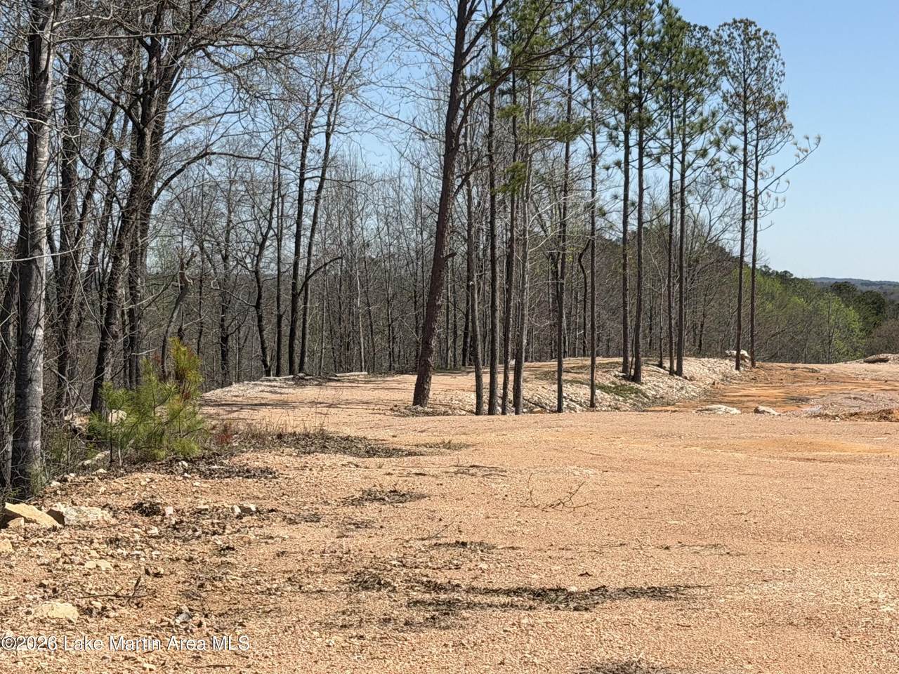 https://bt-photos.global.ssl.fastly.net/lakemartin/1280_boomver_1_26-362-2.jpg