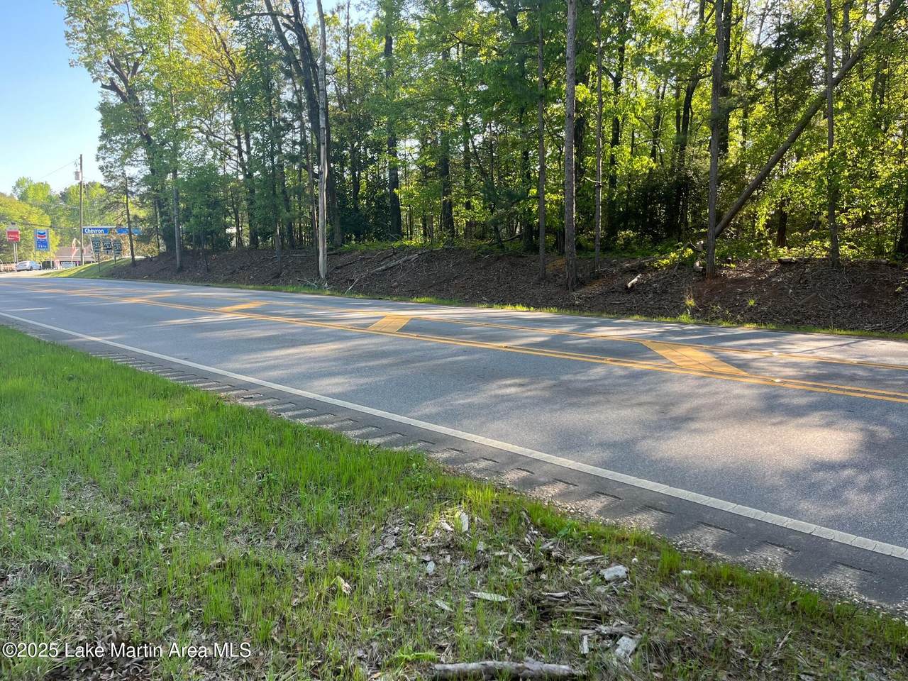  11.4 Acres Hwy 49 - Photo 1