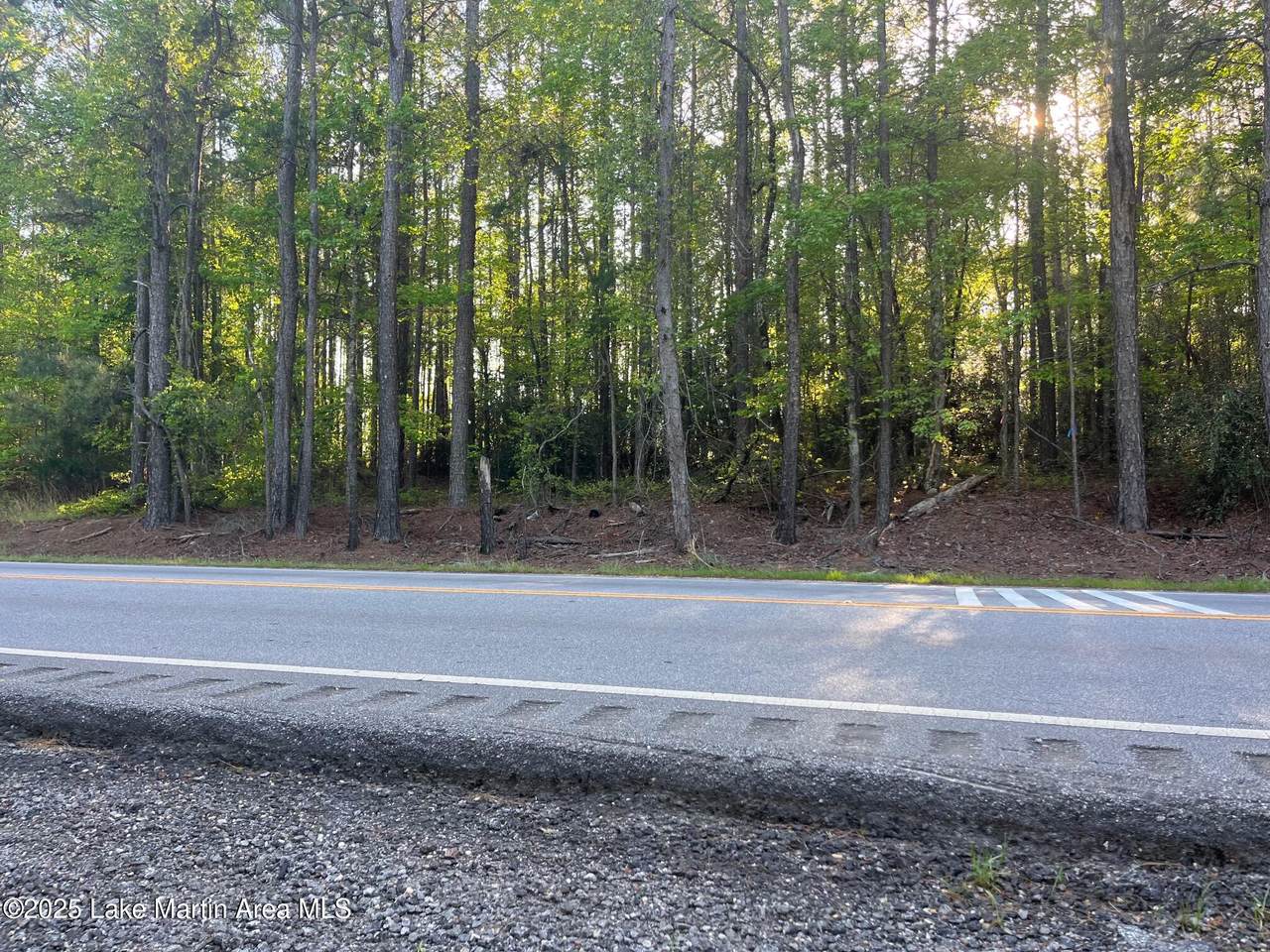 https://bt-photos.global.ssl.fastly.net/lakemartin/1280_boomver_1_26-416-2.jpg