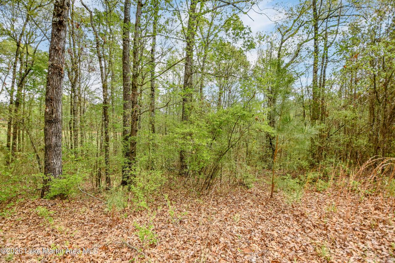 https://bt-photos.global.ssl.fastly.net/lakemartin/1280_boomver_1_26-458-2.jpg