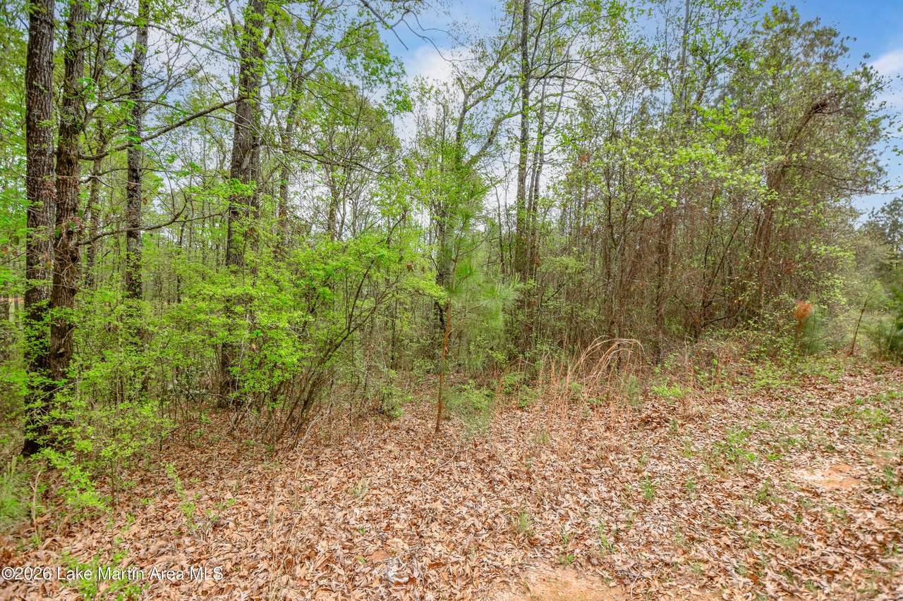 https://bt-photos.global.ssl.fastly.net/lakemartin/1280_boomver_1_26-458-2.jpg