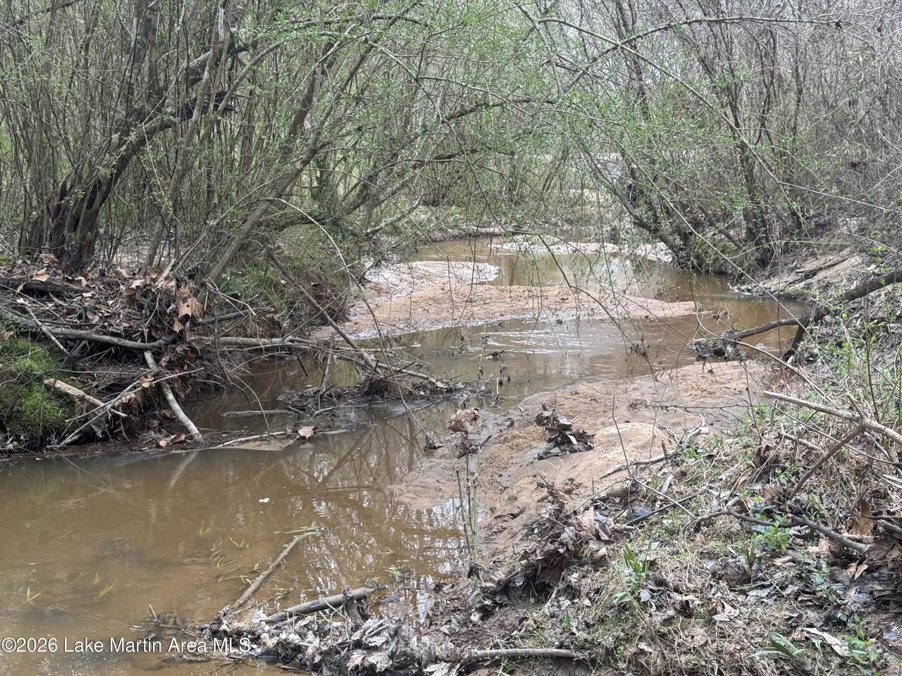 https://bt-photos.global.ssl.fastly.net/lakemartin/1280_boomver_1_26-577-2.jpg