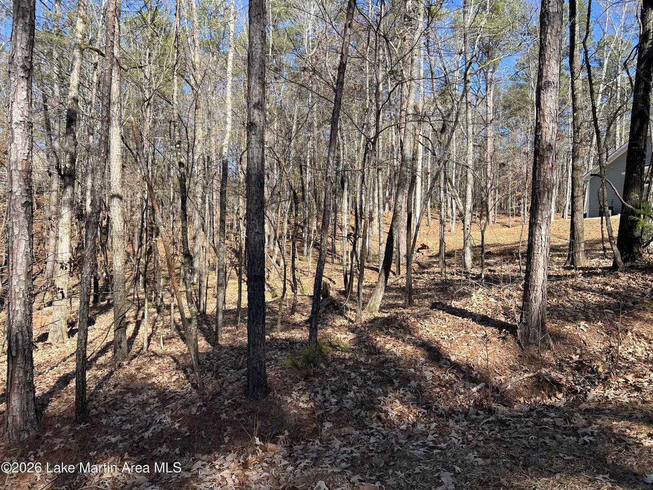 Lot 15 Big Buck Ln - Photo 1