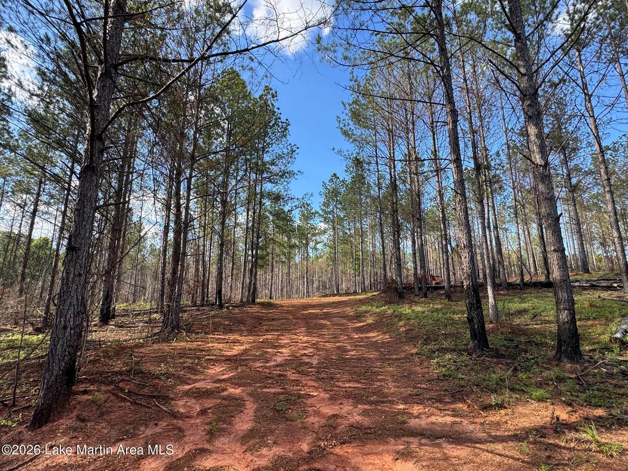 https://bt-photos.global.ssl.fastly.net/lakemartin/1280_boomver_1_26-775-2.jpg