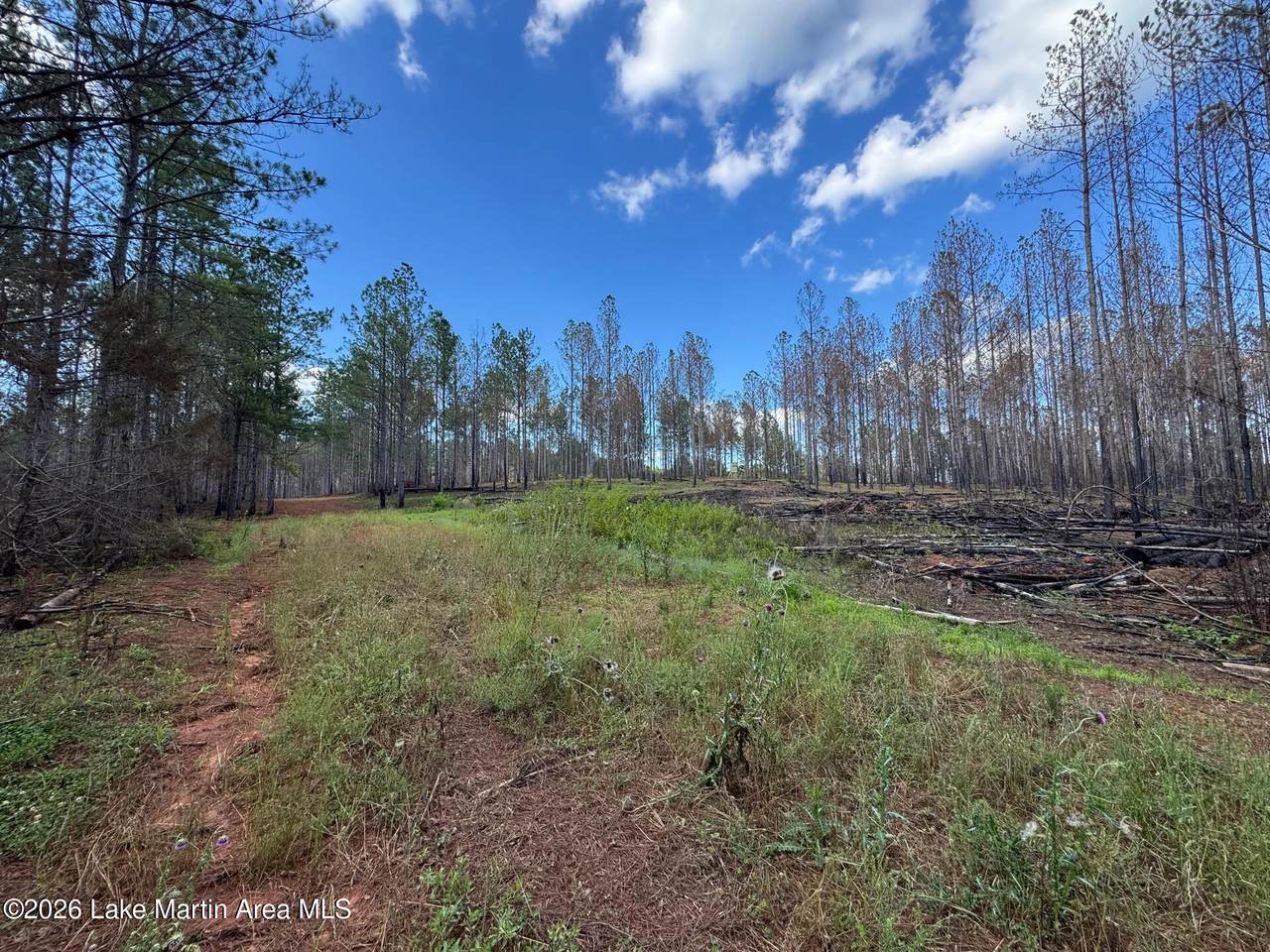 https://bt-photos.global.ssl.fastly.net/lakemartin/1280_boomver_1_26-775-2.jpg