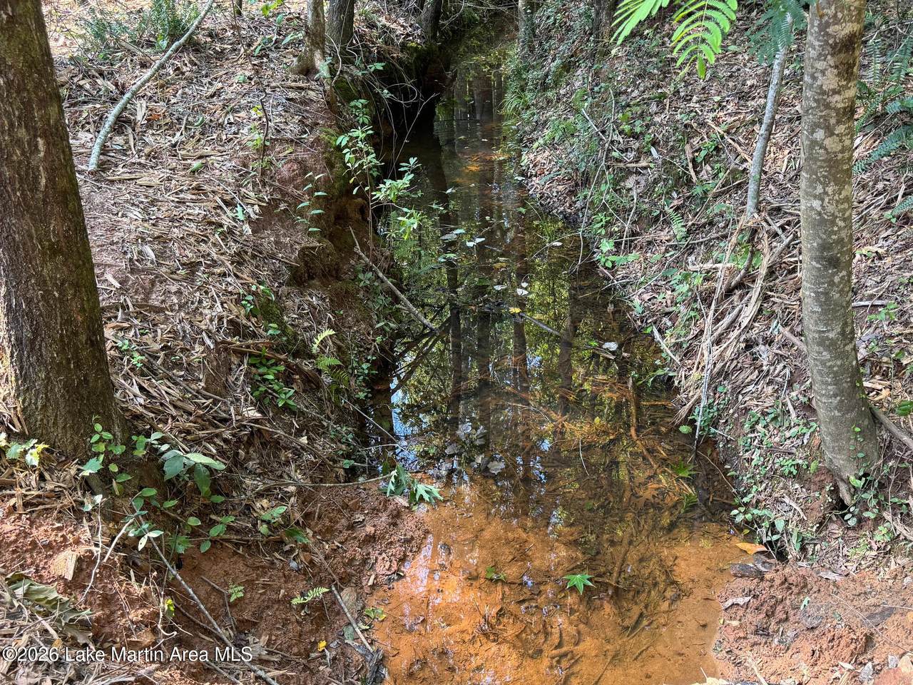 https://bt-photos.global.ssl.fastly.net/lakemartin/1280_boomver_1_26-816-2.jpg