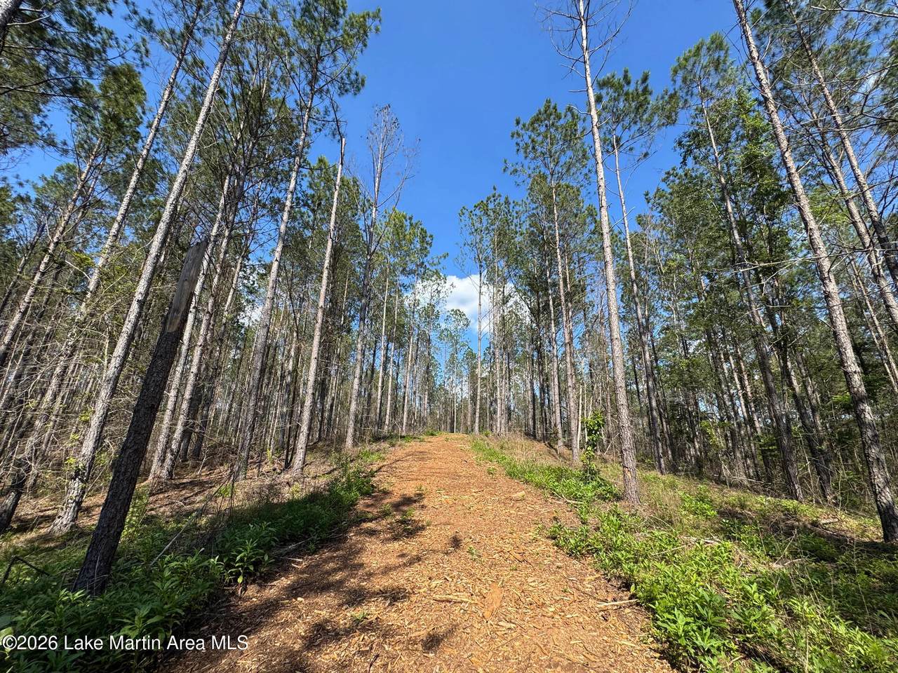 https://bt-photos.global.ssl.fastly.net/lakemartin/1280_boomver_1_26-816-2.jpg