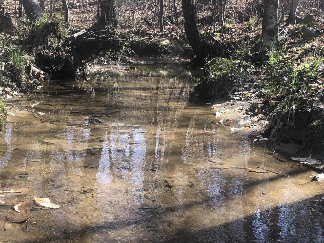  +/- 81 Acres - Photo 1