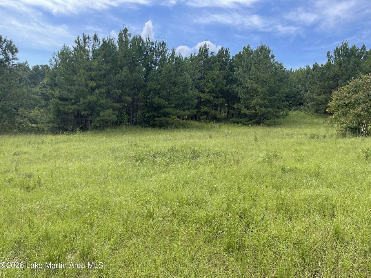 680 Obed Loop - Photo 1
