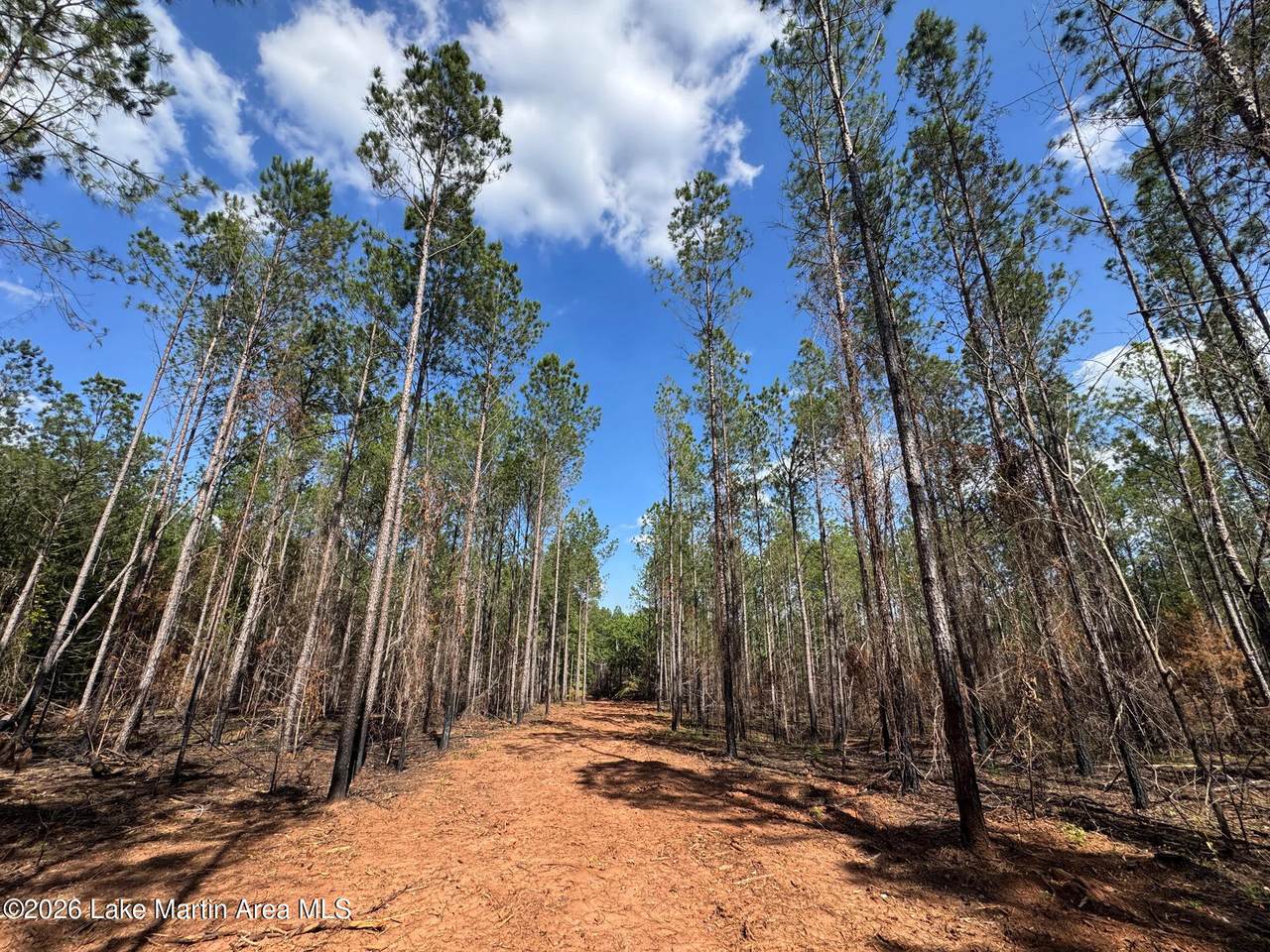 https://bt-photos.global.ssl.fastly.net/lakemartin/1280_boomver_1_26-942-2.jpg