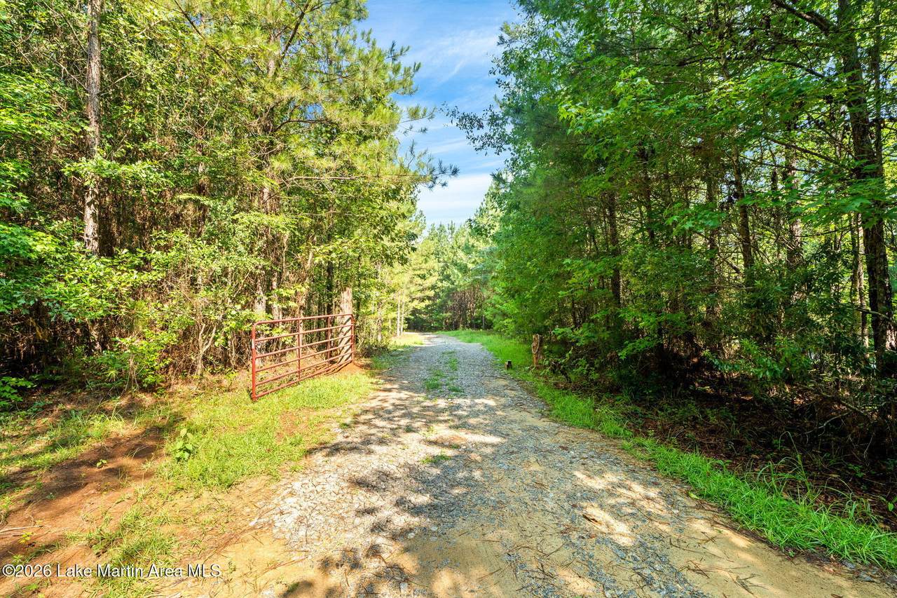 https://bt-photos.global.ssl.fastly.net/lakemartin/1280_boomver_1_26-999-2.jpg