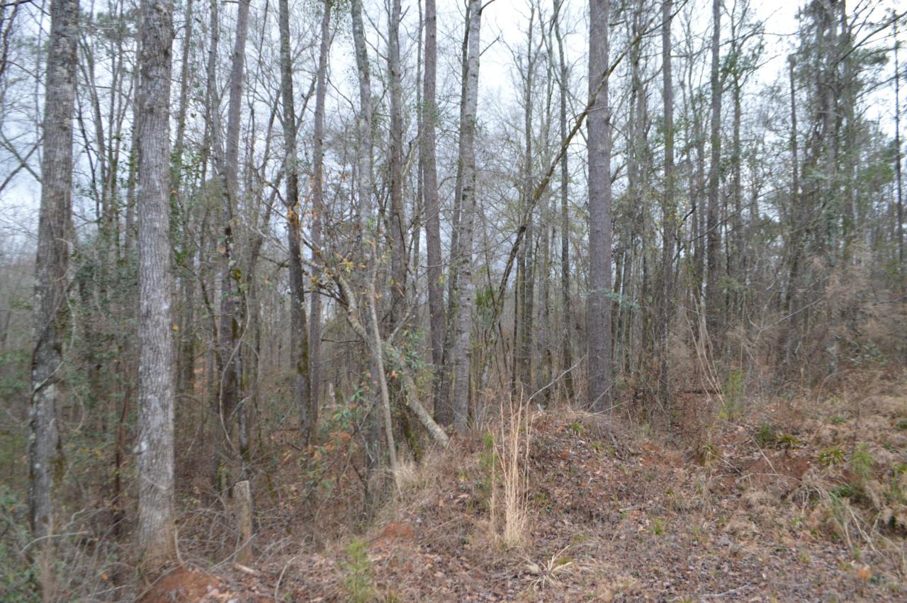 Hwy 29 - Photo 1
