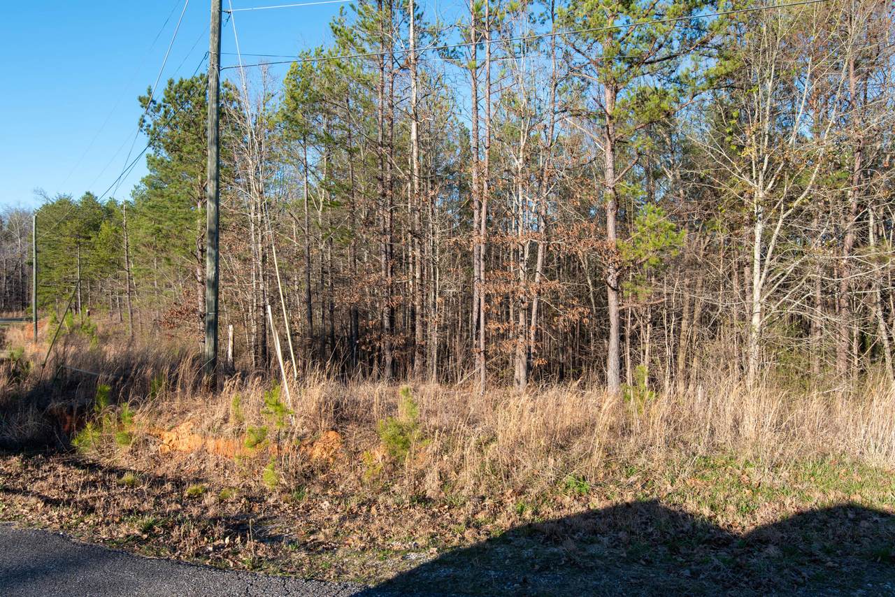 Blue Ridge - Photo 1