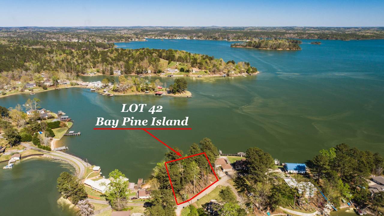Bay Pine Island - Photo 1