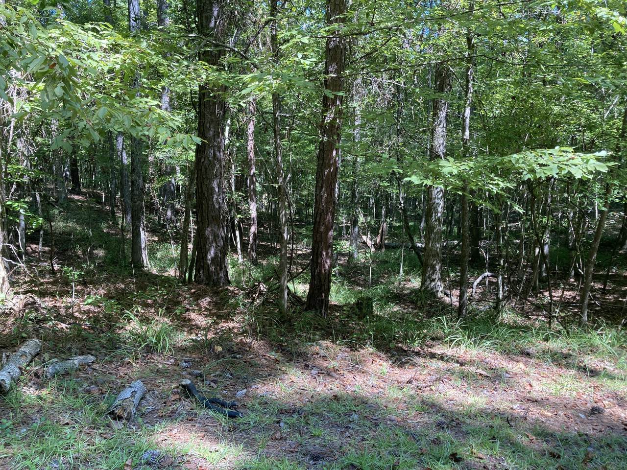 00 Beach Island Trace - Photo 1