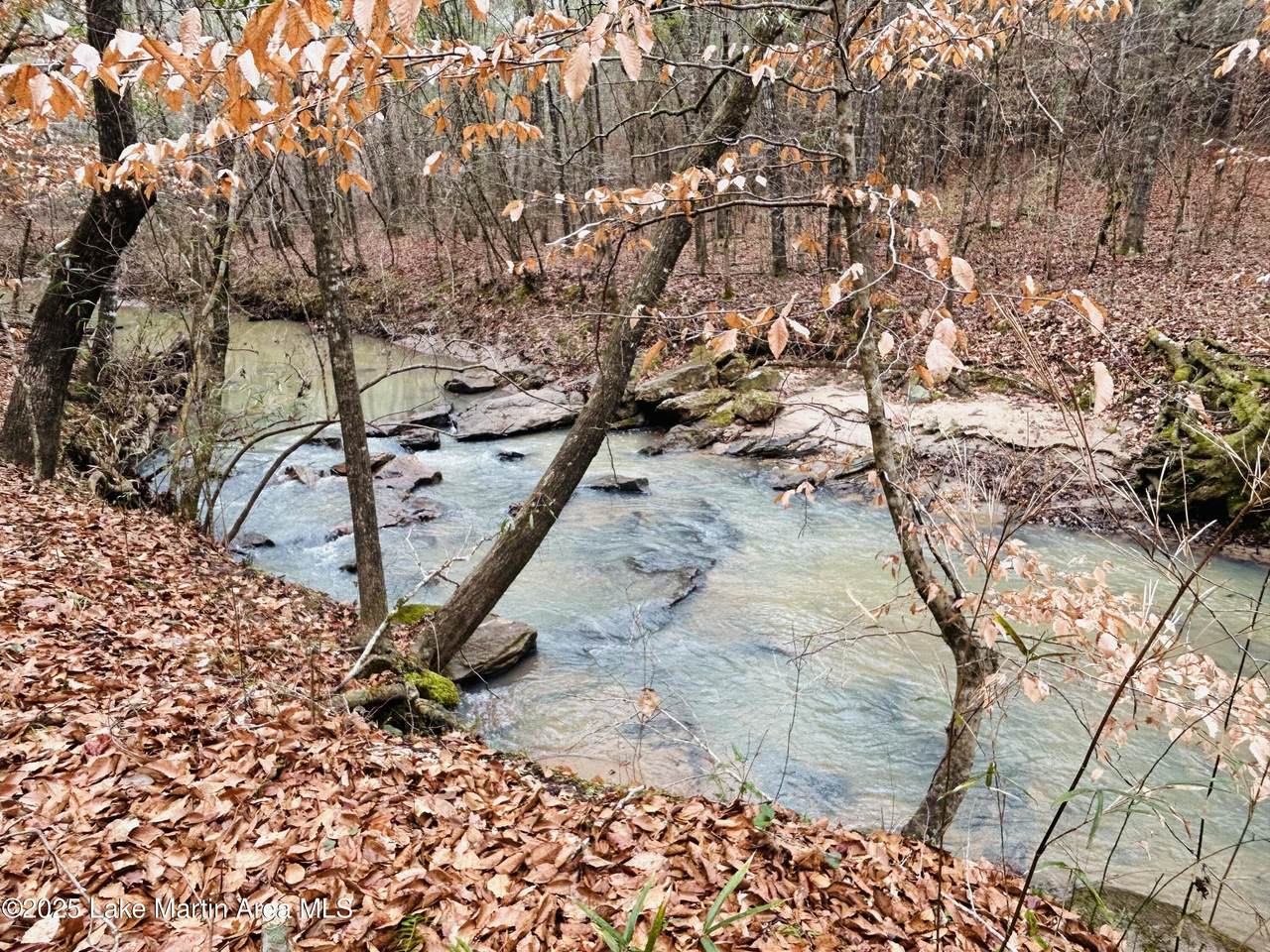 70+/- AC Pleasant Rd - Photo 1