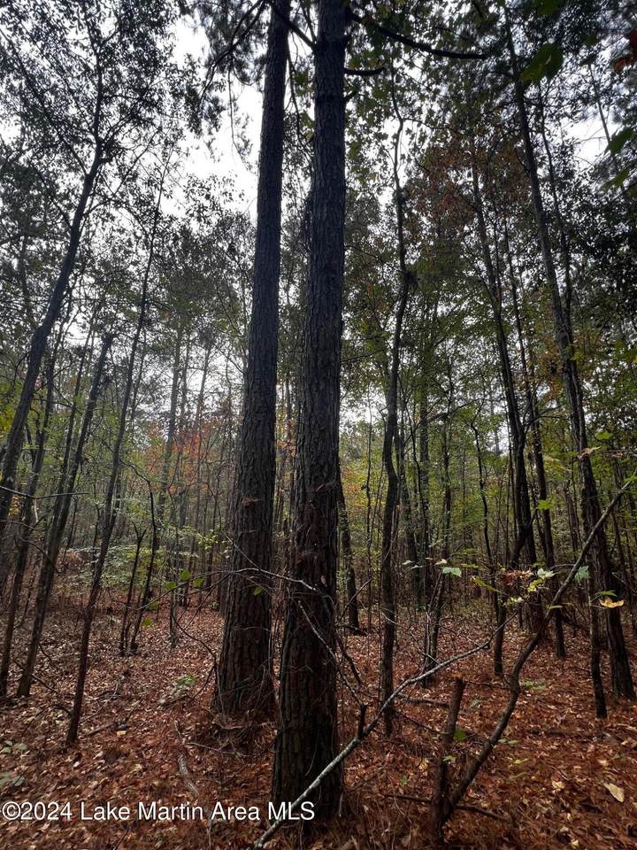 https://bt-photos.global.ssl.fastly.net/lakemartin/1280_boomver_2_24-1353-2.jpg