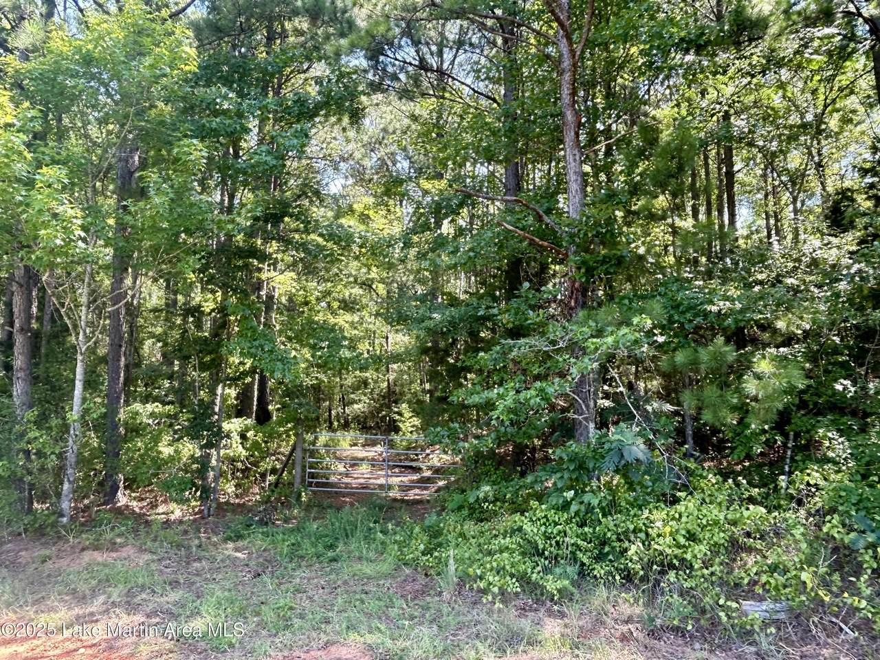 https://bt-photos.global.ssl.fastly.net/lakemartin/1280_boomver_2_25-1942-2.jpg