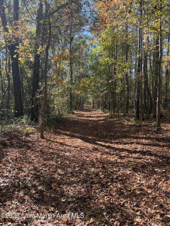 420 Greenwood Rd - Photo 1