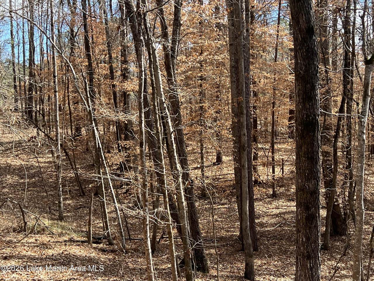 Lot 1 Knollwood Dr - Photo 1