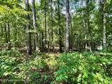 Lot 23 Cotton Ln - Photo 3