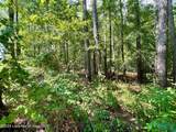 Lot 23 Cotton Ln - Photo 4