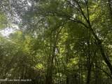 205 Coosa County Rd 130 - Photo 16