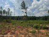 205 Coosa County Rd 130 - Photo 27