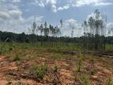 205 Coosa County Rd 130 - Photo 29